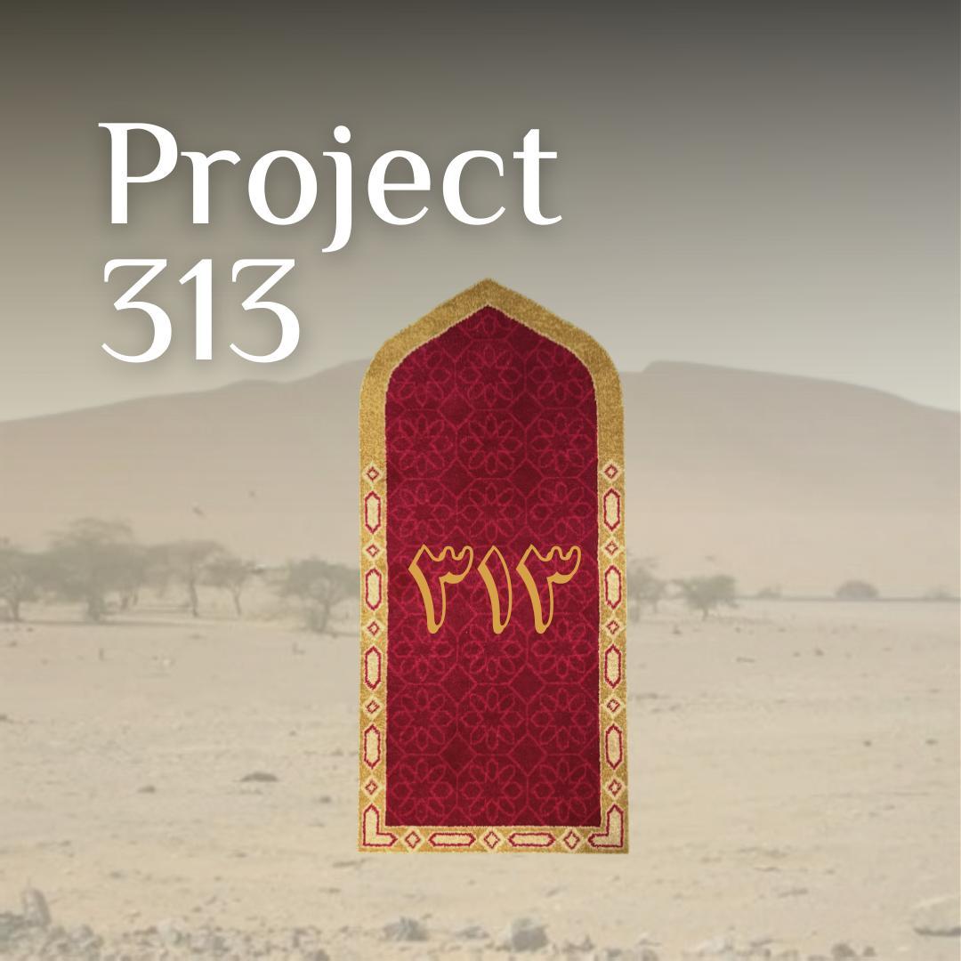 Project 313